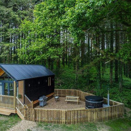 Cabin In The Woods - 1 Bedroom Lodge - Kilgetty Stepaside  エクステリア 写真