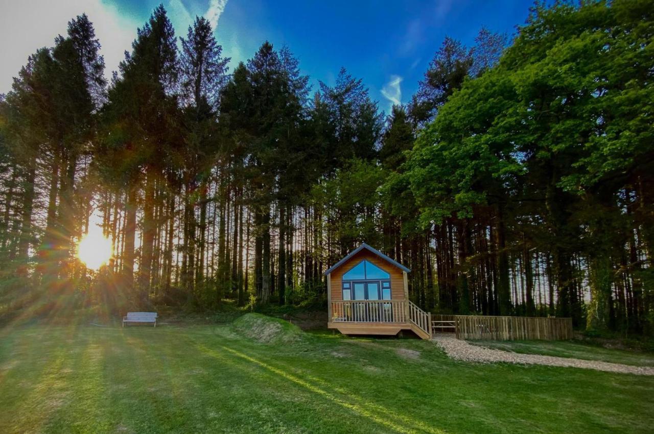Cabin In The Woods - 1 Bedroom Lodge - Kilgetty Stepaside  エクステリア 写真