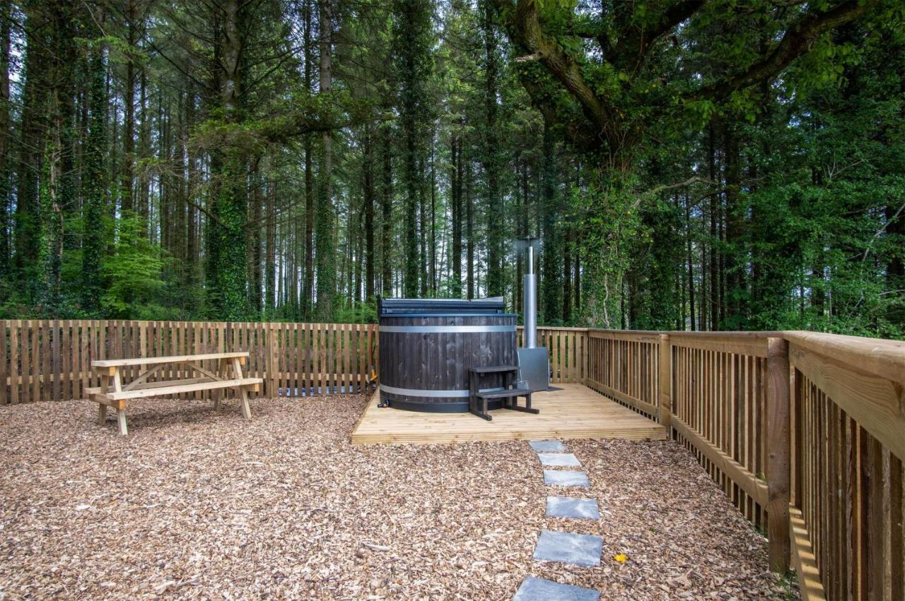 Cabin In The Woods - 1 Bedroom Lodge - Kilgetty Stepaside  エクステリア 写真