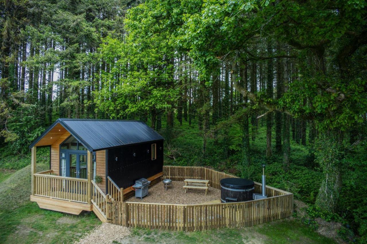 Cabin In The Woods - 1 Bedroom Lodge - Kilgetty Stepaside  エクステリア 写真