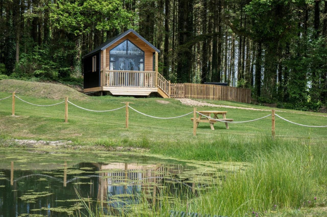 Cabin In The Woods - 1 Bedroom Lodge - Kilgetty Stepaside  エクステリア 写真