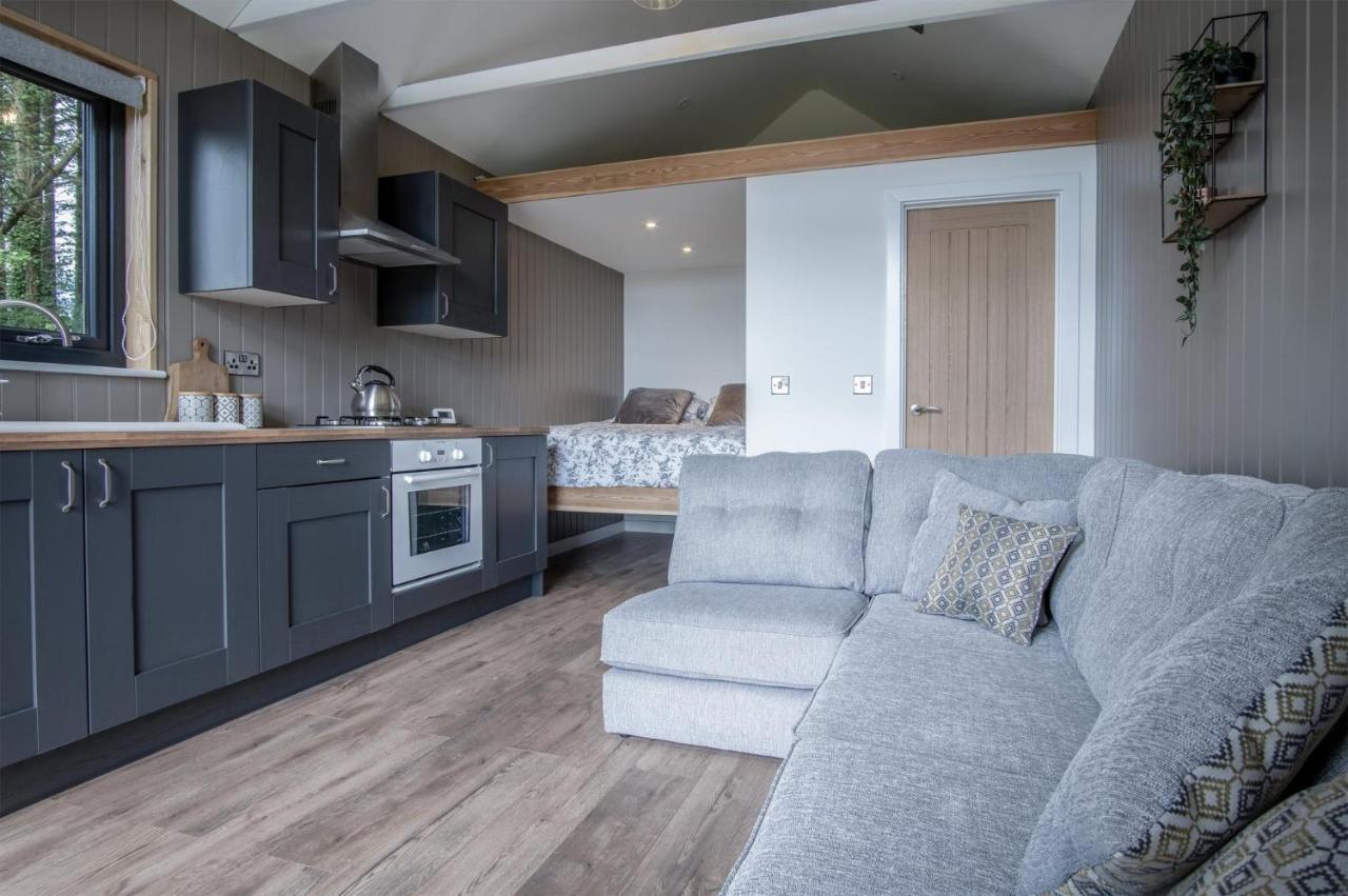 Cabin In The Woods - 1 Bedroom Lodge - Kilgetty Stepaside  エクステリア 写真