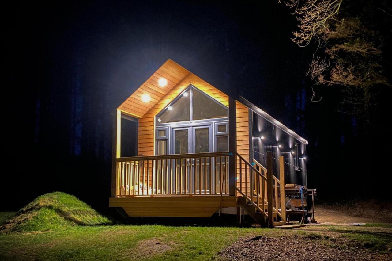 Cabin In The Woods - 1 Bedroom Lodge - Kilgetty Stepaside  エクステリア 写真