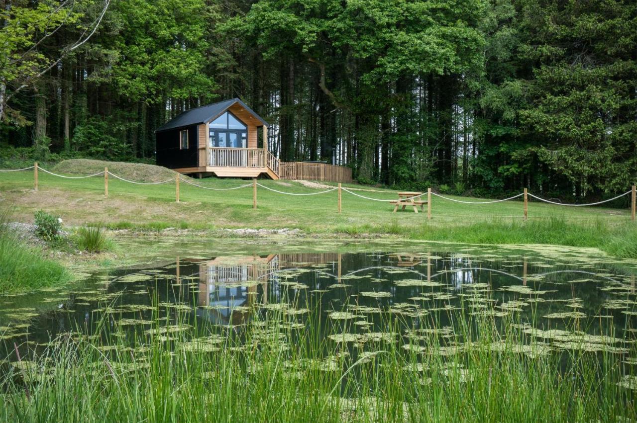Cabin In The Woods - 1 Bedroom Lodge - Kilgetty Stepaside  エクステリア 写真
