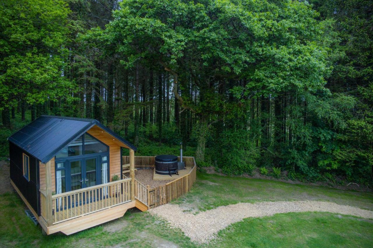 Cabin In The Woods - 1 Bedroom Lodge - Kilgetty Stepaside  エクステリア 写真