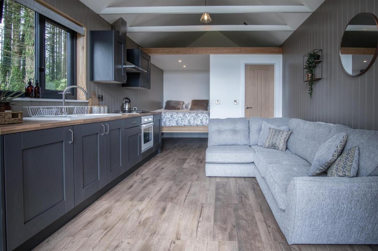 Cabin In The Woods - 1 Bedroom Lodge - Kilgetty Stepaside  エクステリア 写真