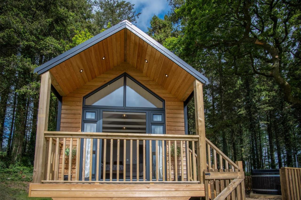 Cabin In The Woods - 1 Bedroom Lodge - Kilgetty Stepaside  エクステリア 写真