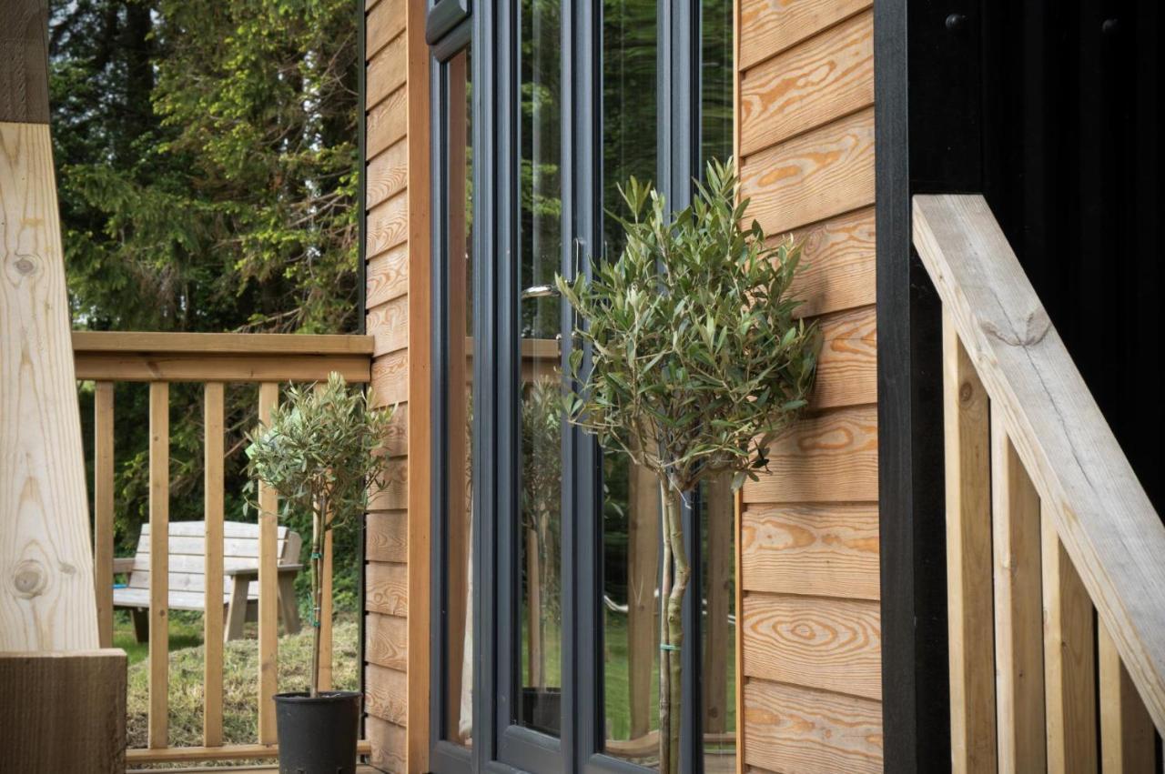 Cabin In The Woods - 1 Bedroom Lodge - Kilgetty Stepaside  エクステリア 写真