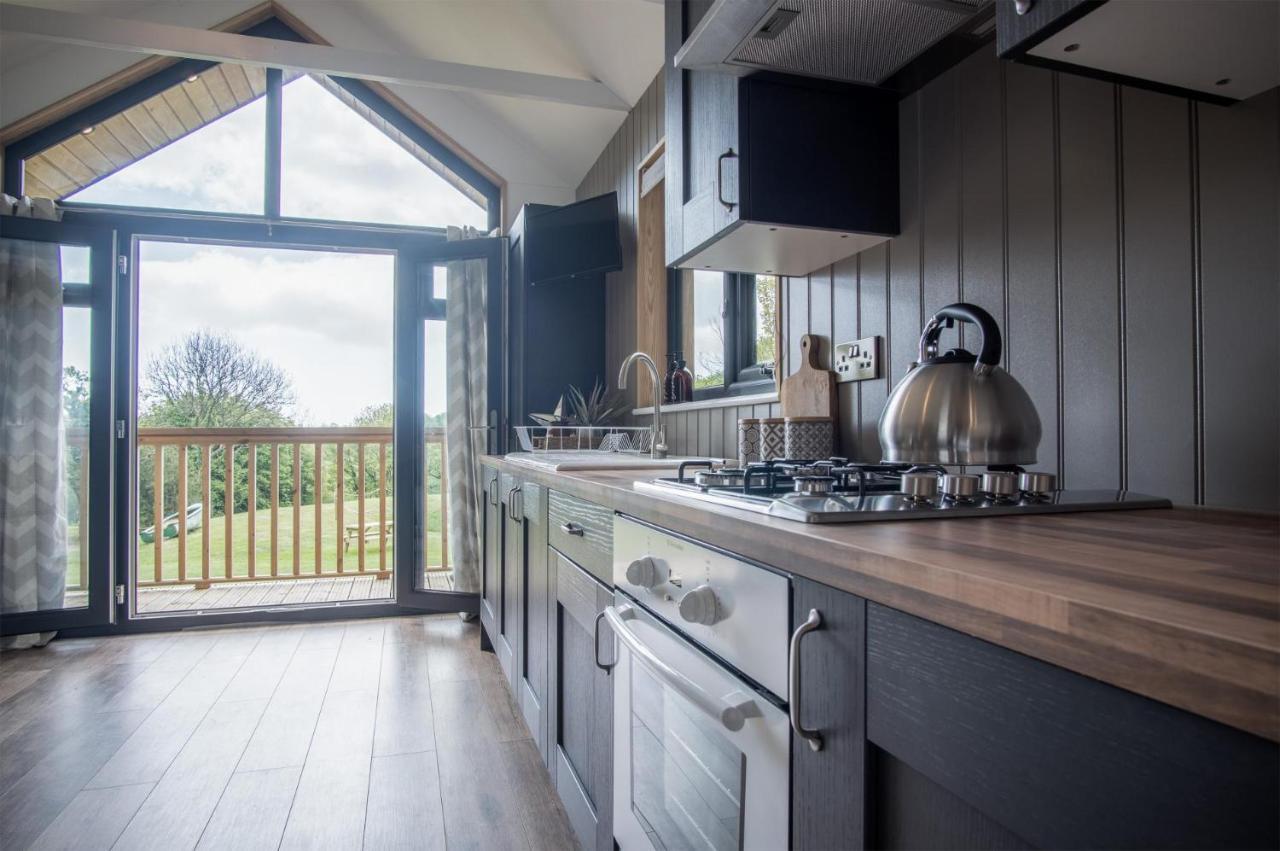 Cabin In The Woods - 1 Bedroom Lodge - Kilgetty Stepaside  エクステリア 写真