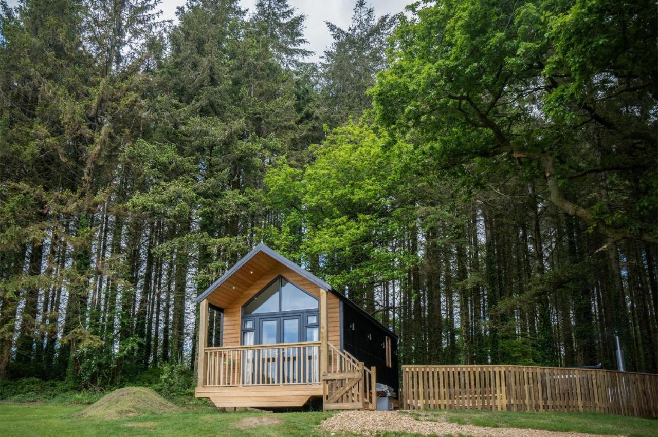Cabin In The Woods - 1 Bedroom Lodge - Kilgetty Stepaside  エクステリア 写真
