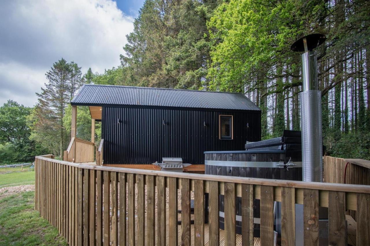 Cabin In The Woods - 1 Bedroom Lodge - Kilgetty Stepaside  エクステリア 写真