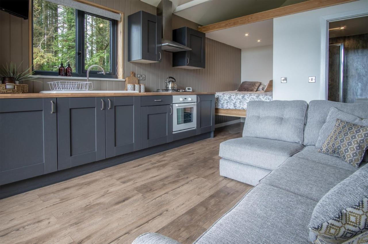 Cabin In The Woods - 1 Bedroom Lodge - Kilgetty Stepaside  エクステリア 写真
