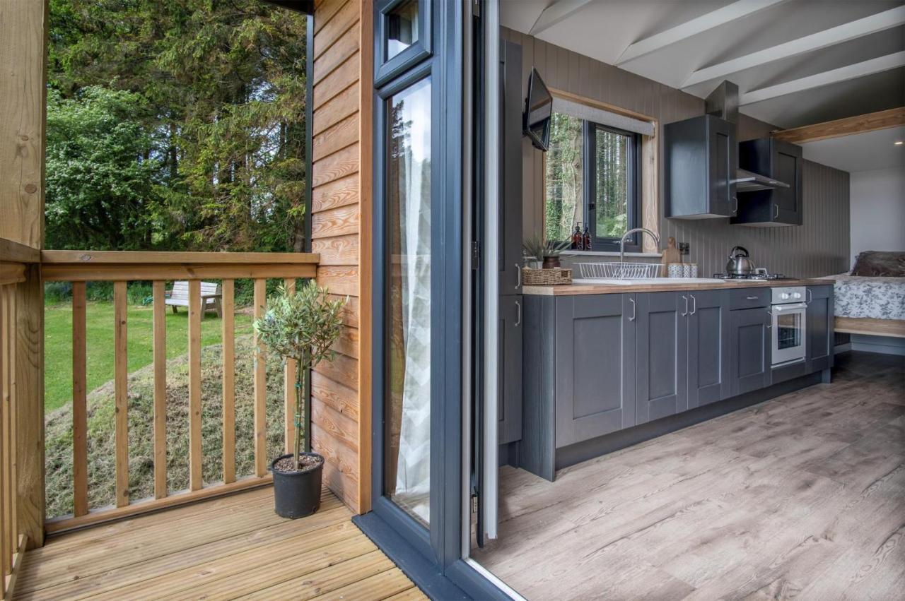 Cabin In The Woods - 1 Bedroom Lodge - Kilgetty Stepaside  エクステリア 写真