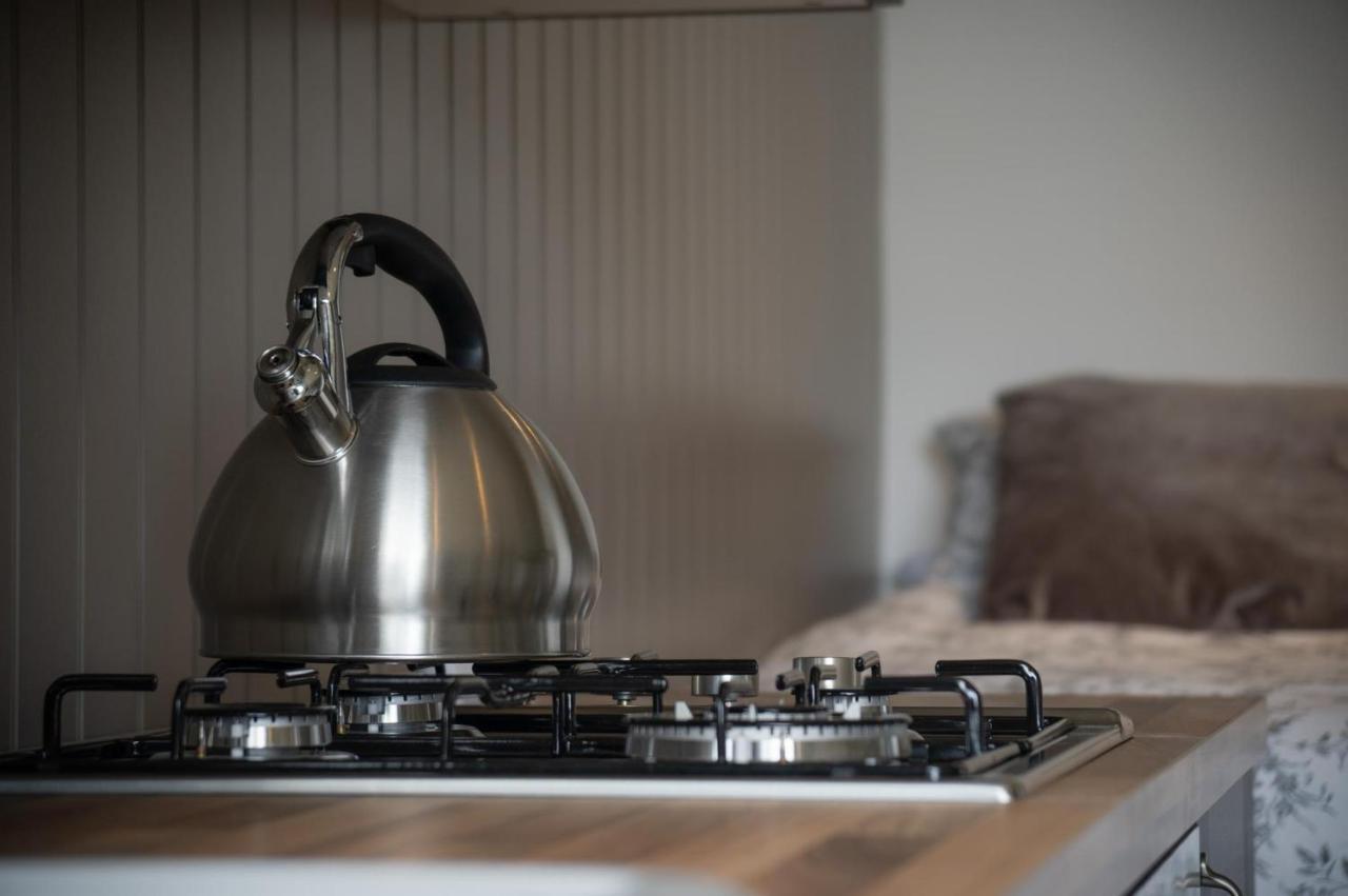 Cabin In The Woods - 1 Bedroom Lodge - Kilgetty Stepaside  エクステリア 写真
