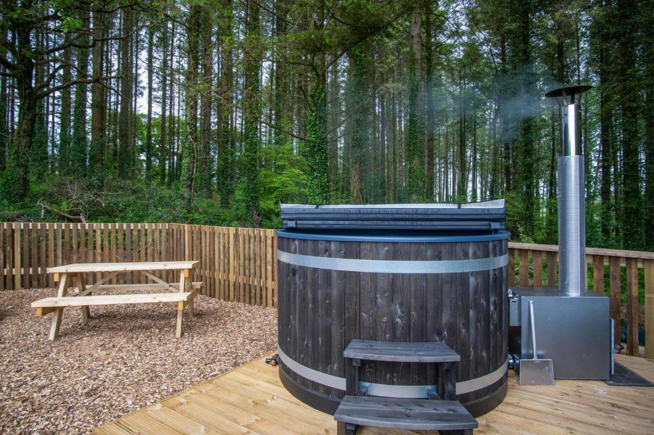 Cabin In The Woods - 1 Bedroom Lodge - Kilgetty Stepaside  エクステリア 写真