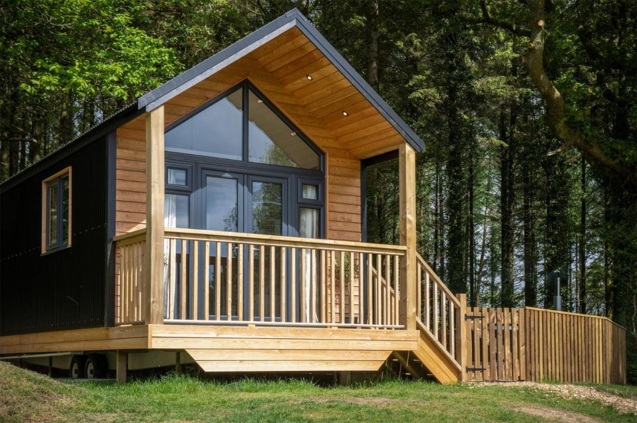 Cabin In The Woods - 1 Bedroom Lodge - Kilgetty Stepaside  エクステリア 写真