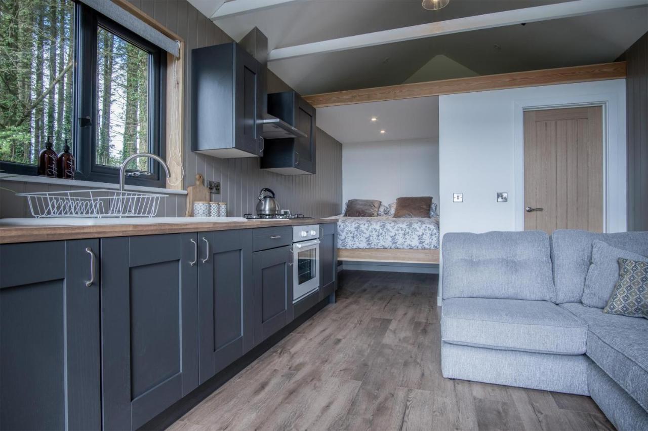 Cabin In The Woods - 1 Bedroom Lodge - Kilgetty Stepaside  エクステリア 写真