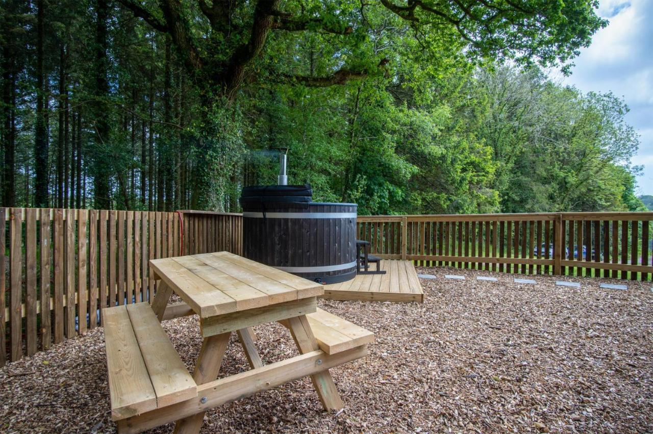 Cabin In The Woods - 1 Bedroom Lodge - Kilgetty Stepaside  エクステリア 写真