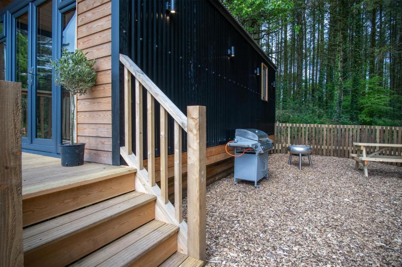 Cabin In The Woods - 1 Bedroom Lodge - Kilgetty Stepaside  エクステリア 写真