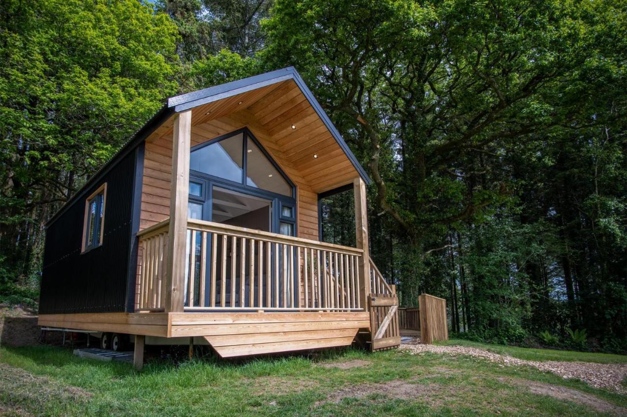 Cabin In The Woods - 1 Bedroom Lodge - Kilgetty Stepaside  エクステリア 写真
