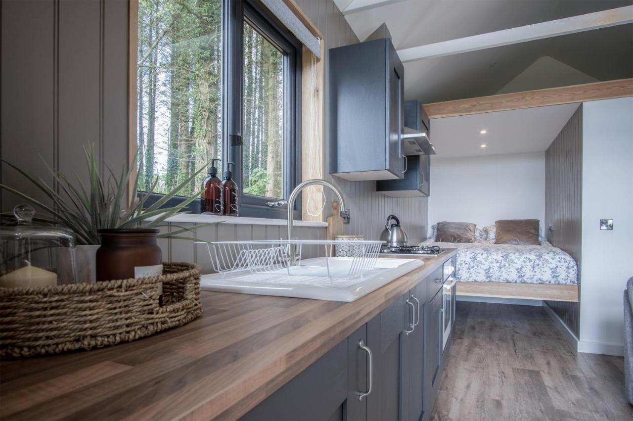 Cabin In The Woods - 1 Bedroom Lodge - Kilgetty Stepaside  エクステリア 写真